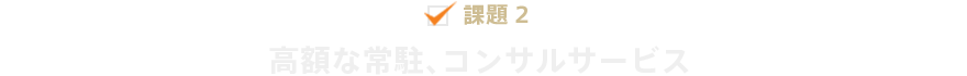 課題2、高額な常駐、コンサルサービス